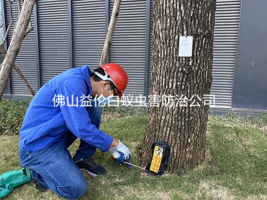 南海廠區(qū)樹(shù)木白蟻防治工程