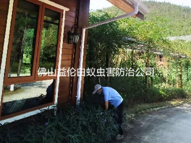 三水農(nóng)莊滅治老鼠蟲(chóng)害