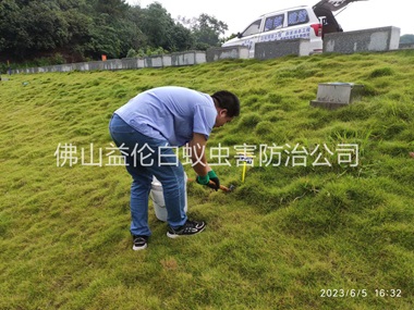 南海堤壩有害蟻類(lèi)防控